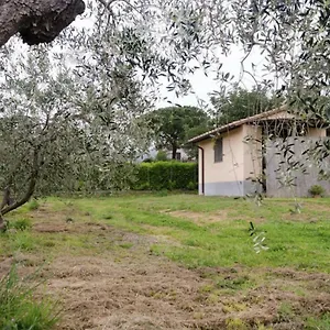 Sotto Castagno Castiglione della Pescaia